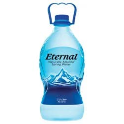 Eternal Water 2.5 L (84.5 oz) Single Bottle