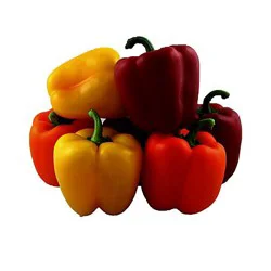 Sweet Bell Peppers