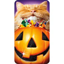 Avanti Card Halloween Cat Pumpkin Teeth
