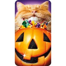 Avanti Card Halloween Cat Pumpkin Teeth