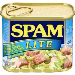 SPAM Lite