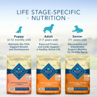 slide 9 of 18, Blue Buffalo Life Protection Formula Natural Puppy Large Breed Dry Dog Food, Chicken and Brown Rice 24-lb, 24 lb