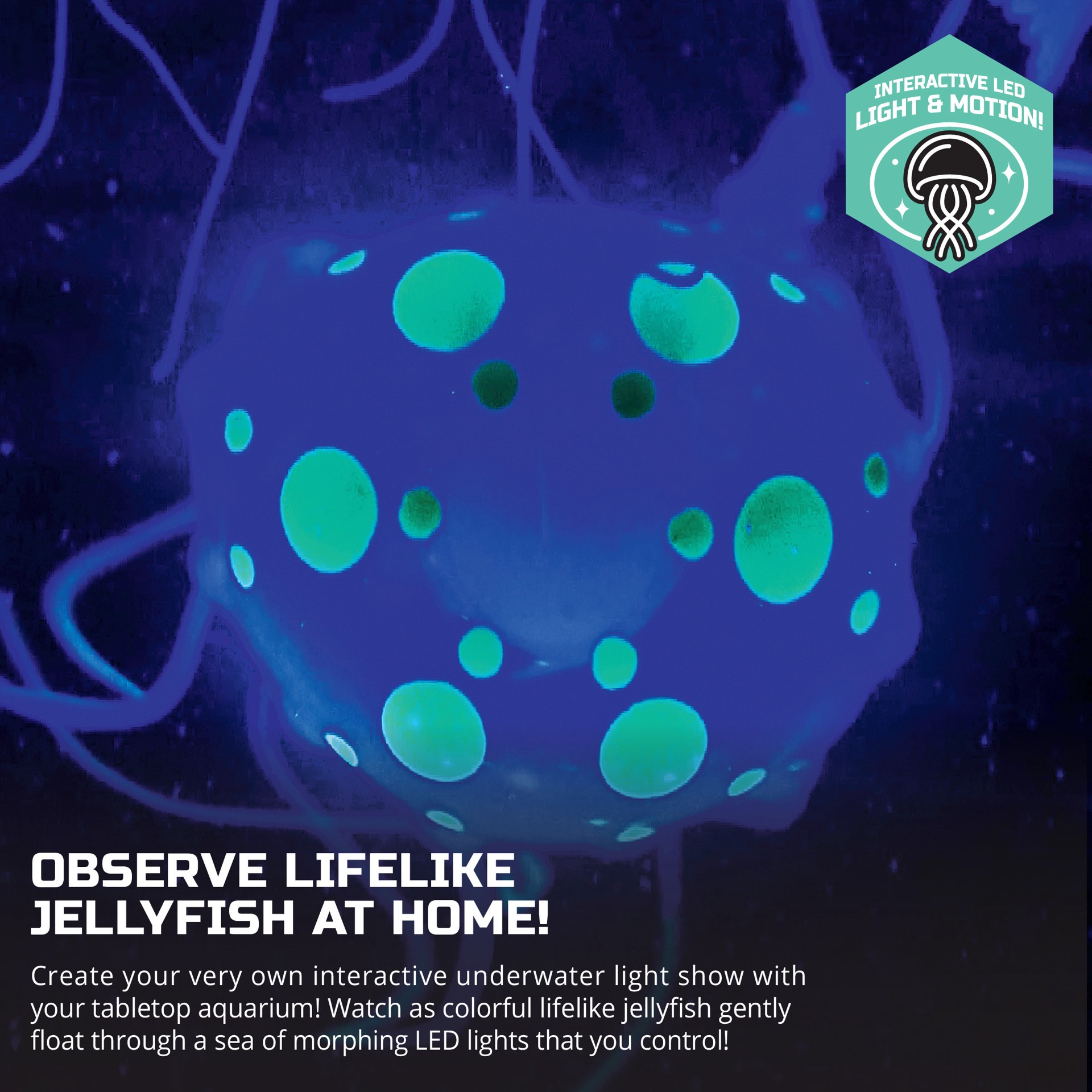 slide 8 of 9, Discovery Kids #MINDBLOWN Jellyfish Aquarium, 1 ct