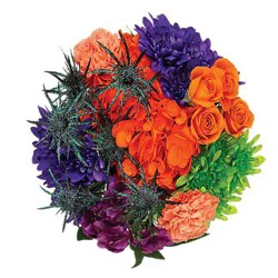 Bouquet Drink Up Witches - Each