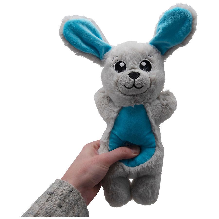 slide 4 of 5, PetShoppe Peek n' Pal Dog Toy Assortment, 1 ct