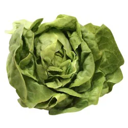 PICS Lettuce - Boston