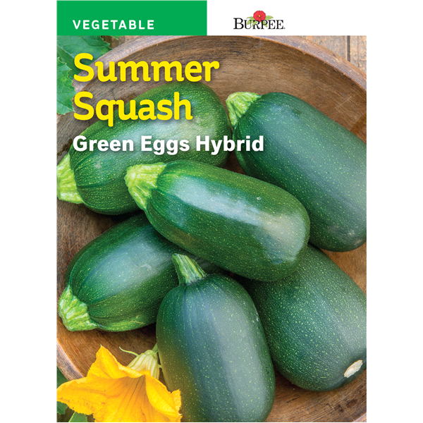slide 1 of 1, Burpee Summer Squash, Green Eggs Hybrid, 1 ct