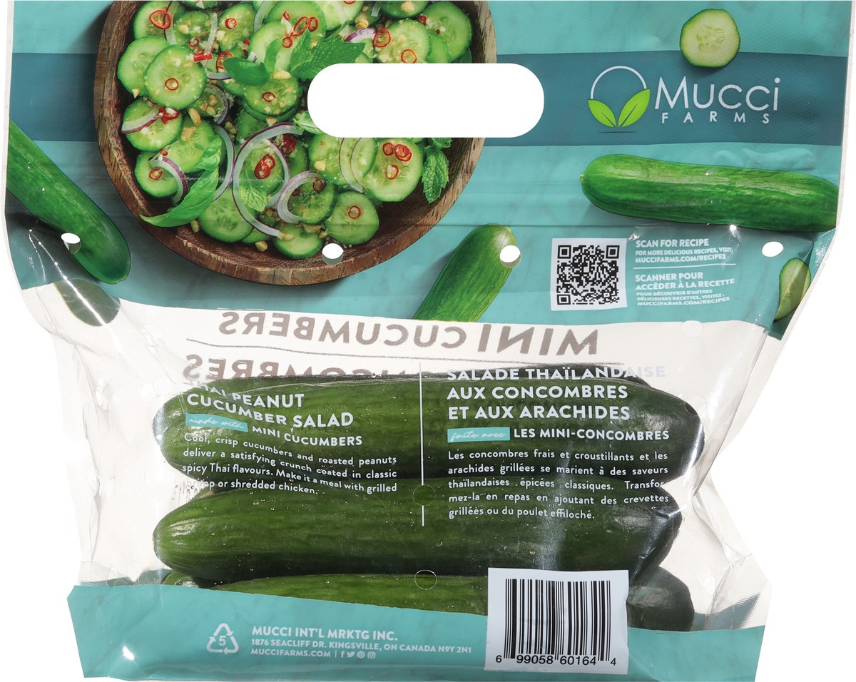 slide 11 of 12, Mucci Farms Cucumbers Mini 16 oz, 16 oz