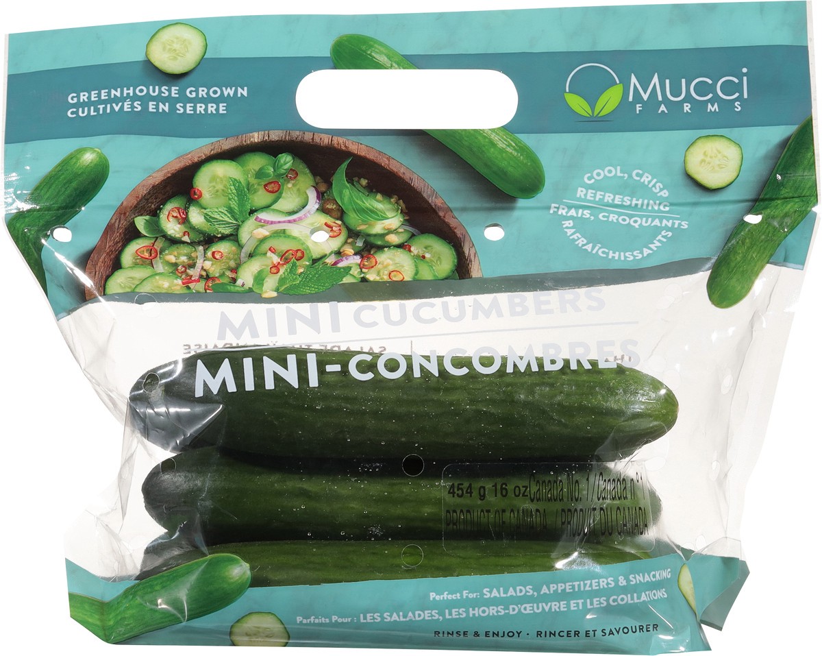 slide 9 of 12, Mucci Farms Cucumbers Mini 16 oz, 16 oz