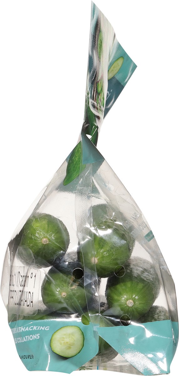 slide 5 of 12, Mucci Farms Cucumbers Mini 16 oz, 16 oz