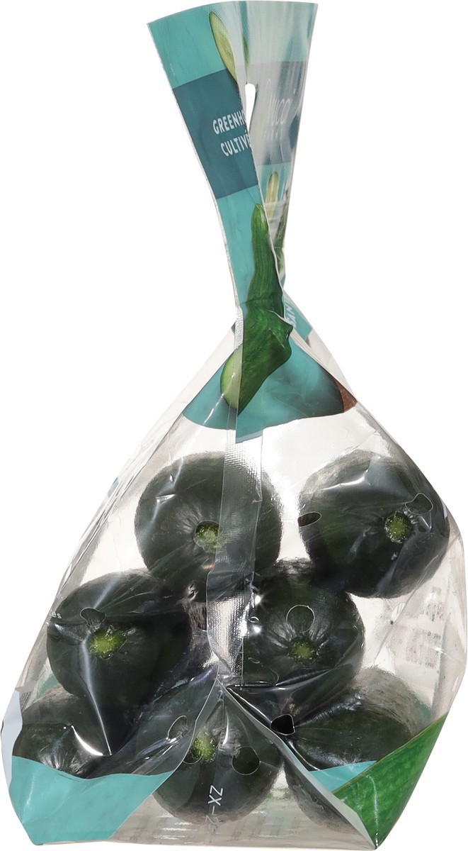 slide 10 of 12, Mucci Farms Cucumbers Mini 16 oz, 16 oz