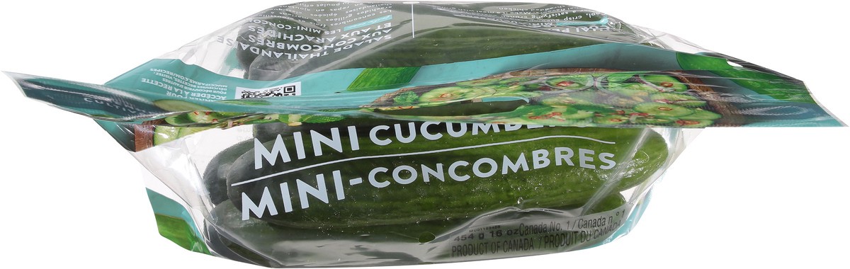 slide 6 of 12, Mucci Farms Cucumbers Mini 16 oz, 16 oz