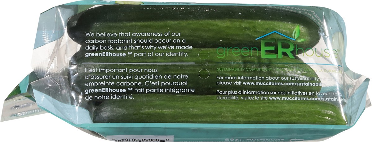 slide 7 of 12, Mucci Farms Cucumbers Mini 16 oz, 16 oz