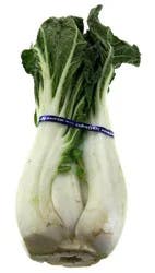 Bok Choy