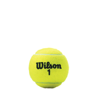 slide 3 of 9, WIlson Tennis Balls Championship, 4 ct