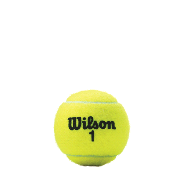 slide 4 of 9, WIlson Tennis Balls Championship, 4 ct