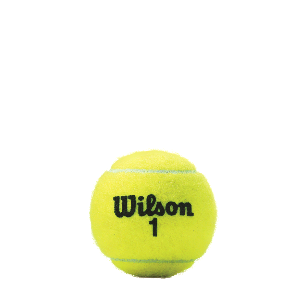 slide 5 of 9, WIlson Tennis Balls Championship, 4 ct