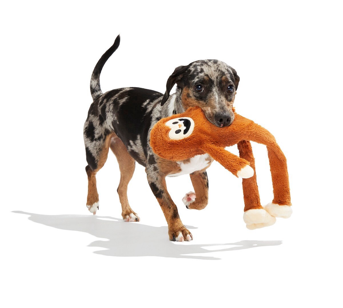 slide 4 of 5, BARK Best of BarkBox Plush Dog Toy, 1 ct