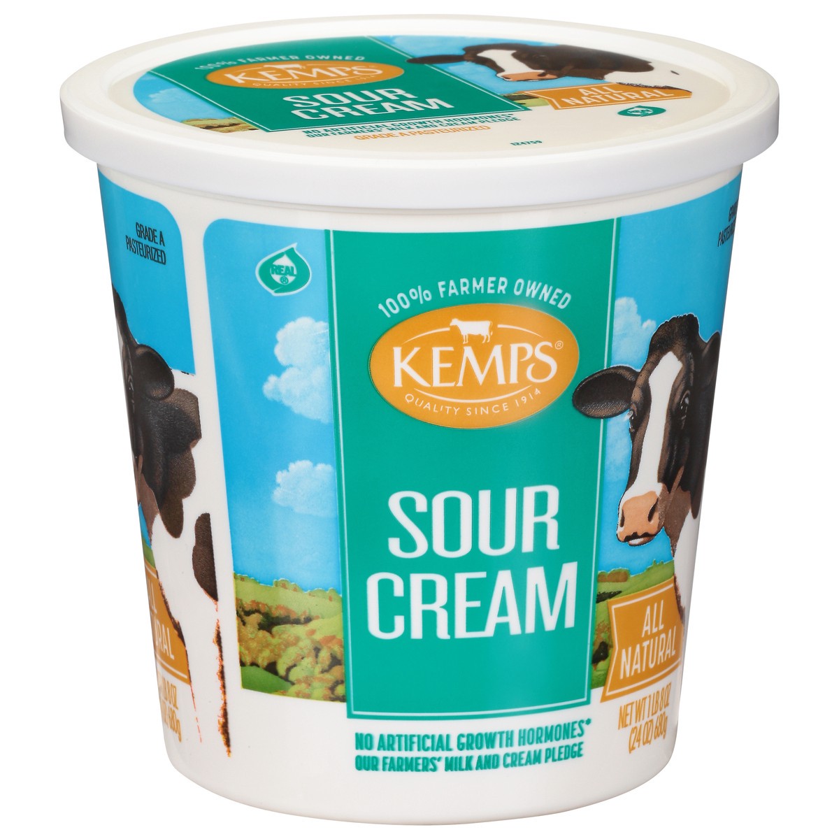 slide 2 of 9, Kemps Sour Cream, 24 oz