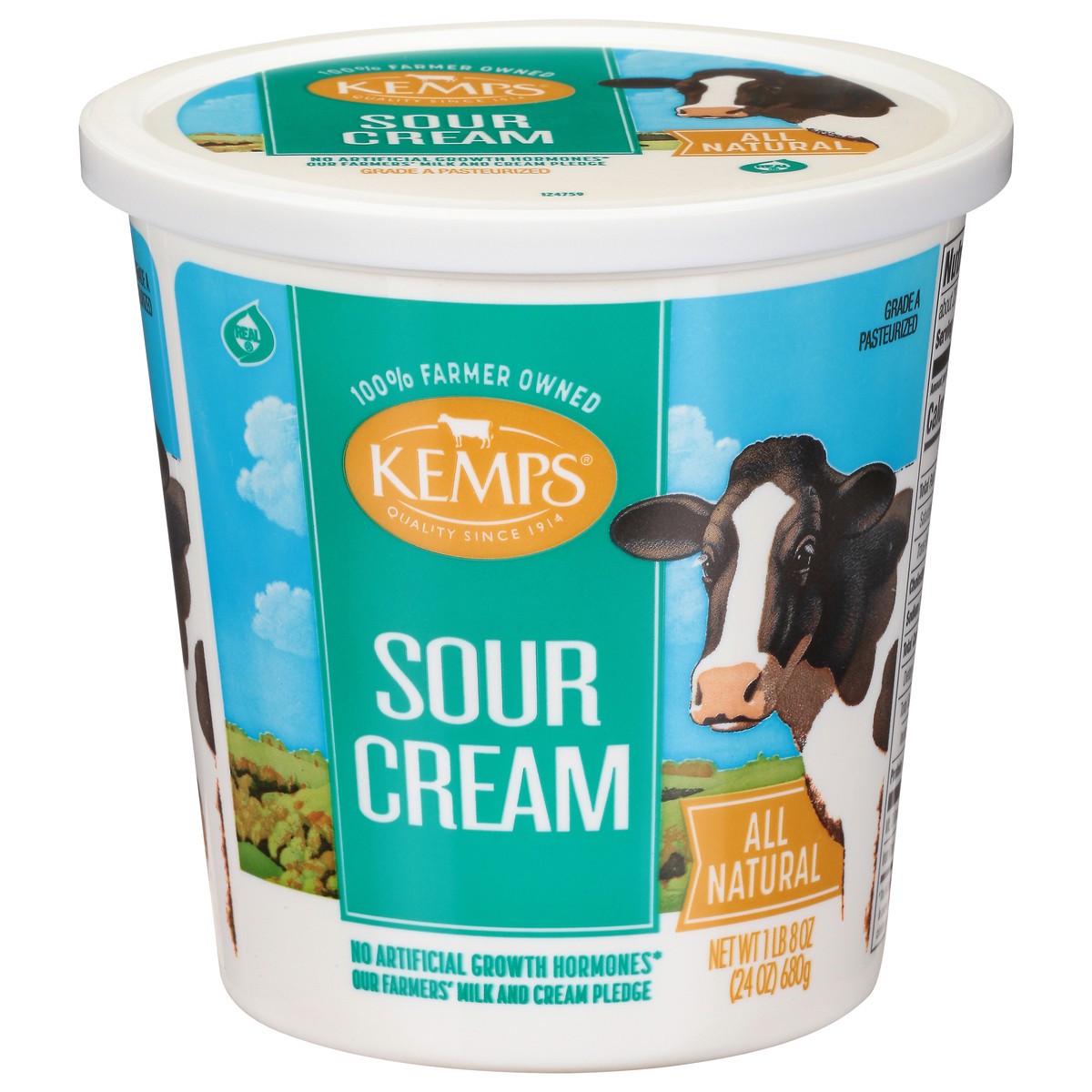 slide 1 of 9, Kemps Sour Cream, 24 oz