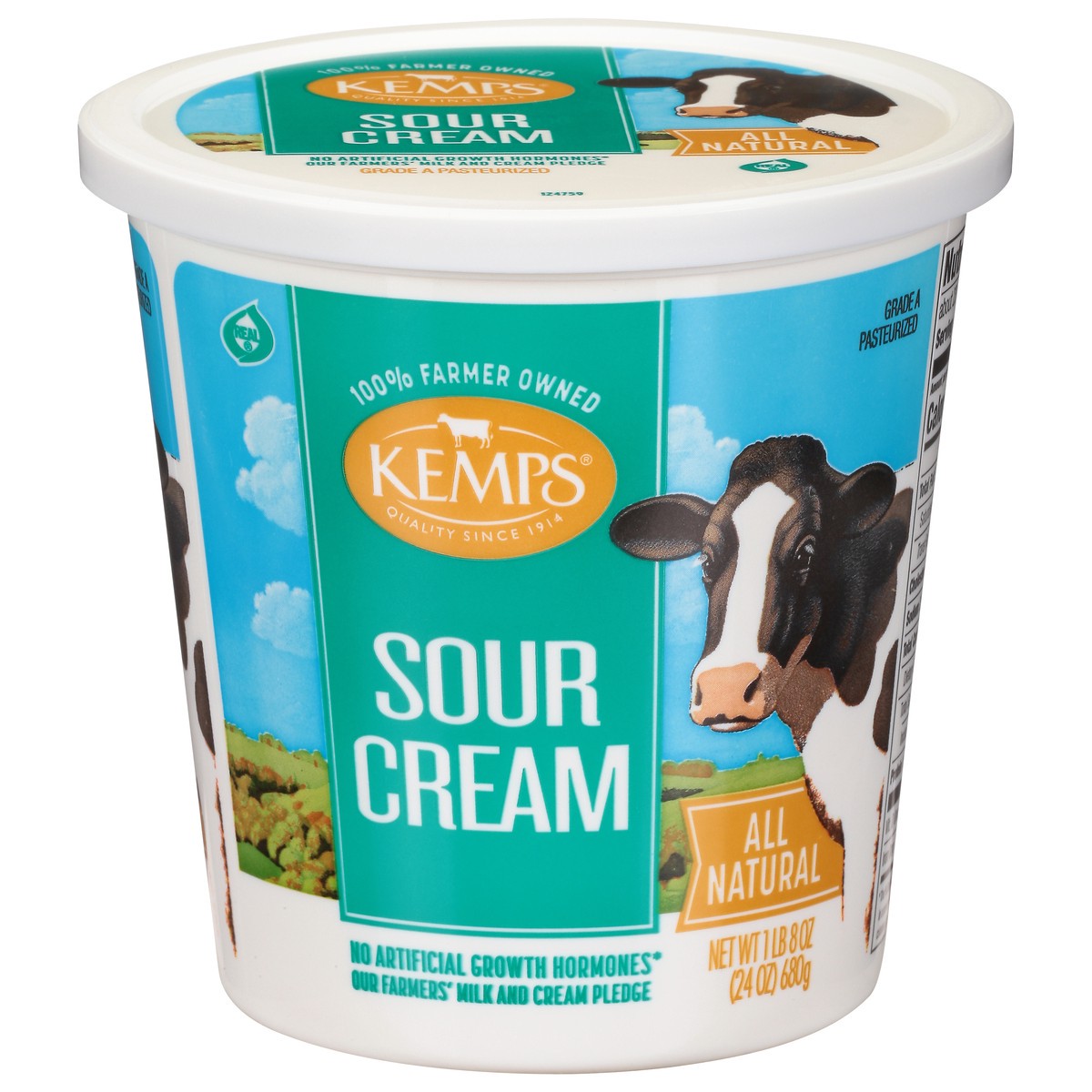 slide 1 of 9, Kemps Sour Cream, 24 oz