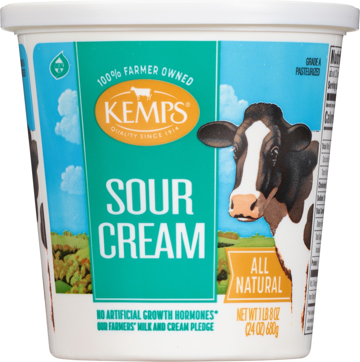 slide 6 of 9, Kemps Sour Cream, 24 oz