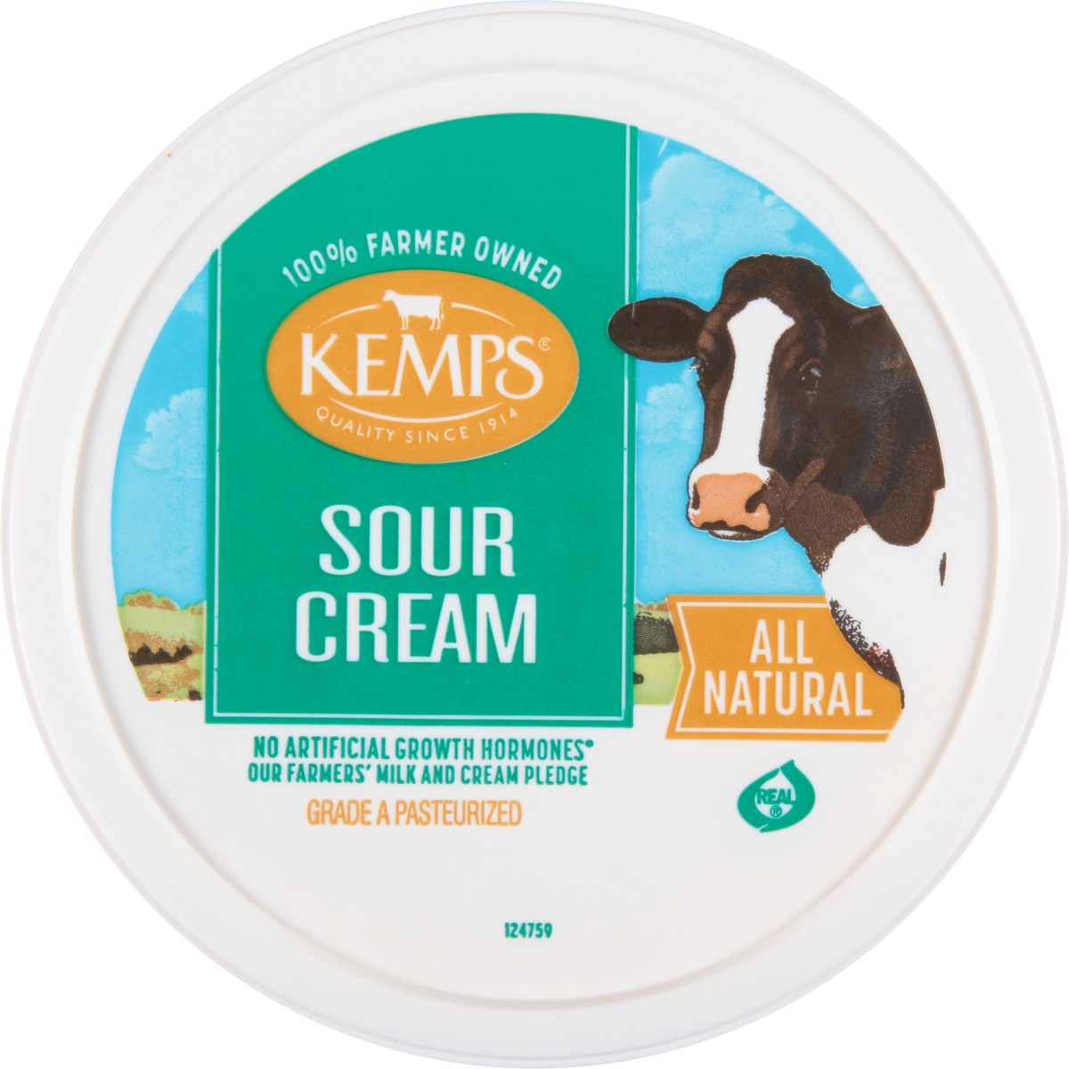 slide 9 of 9, Kemps Sour Cream, 24 oz