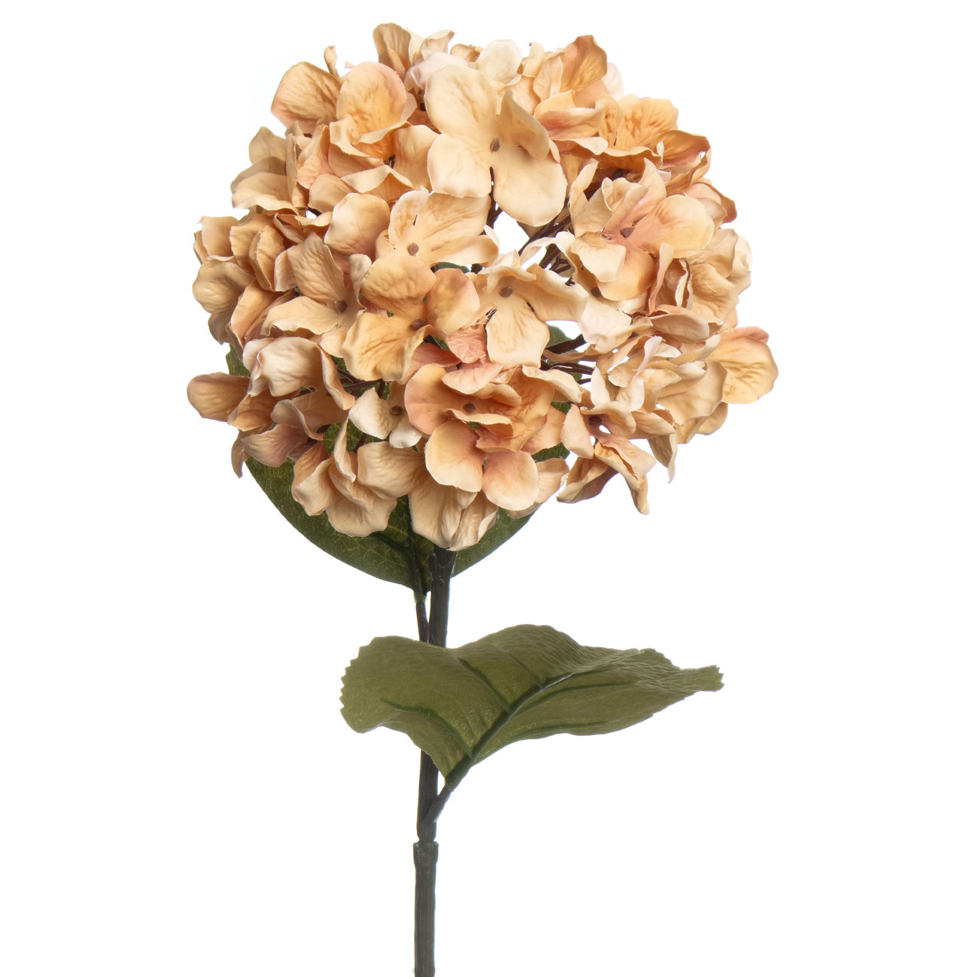 slide 3 of 3, 28" Cream Hydrangea Stem By Ashland, 6 in x 6 in x 28 in