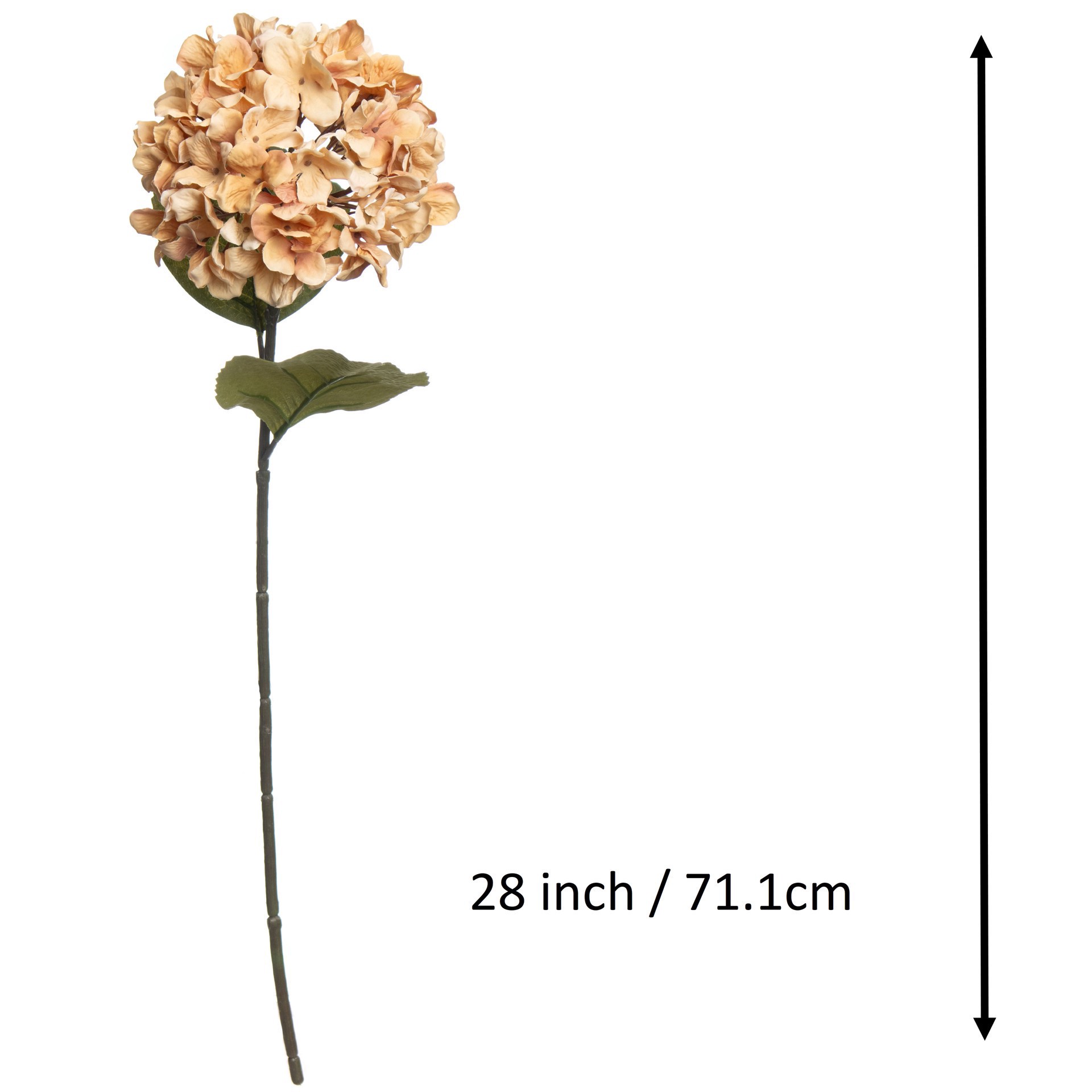slide 2 of 3, 28" Cream Hydrangea Stem By Ashland, 6 in x 6 in x 28 in