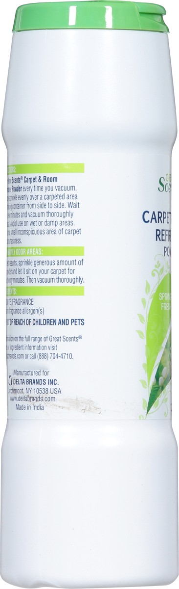 slide 3 of 14, Great Scents Carpet & Room Spring Fresh Refresher Powder 17.6 oz, 17.6 oz