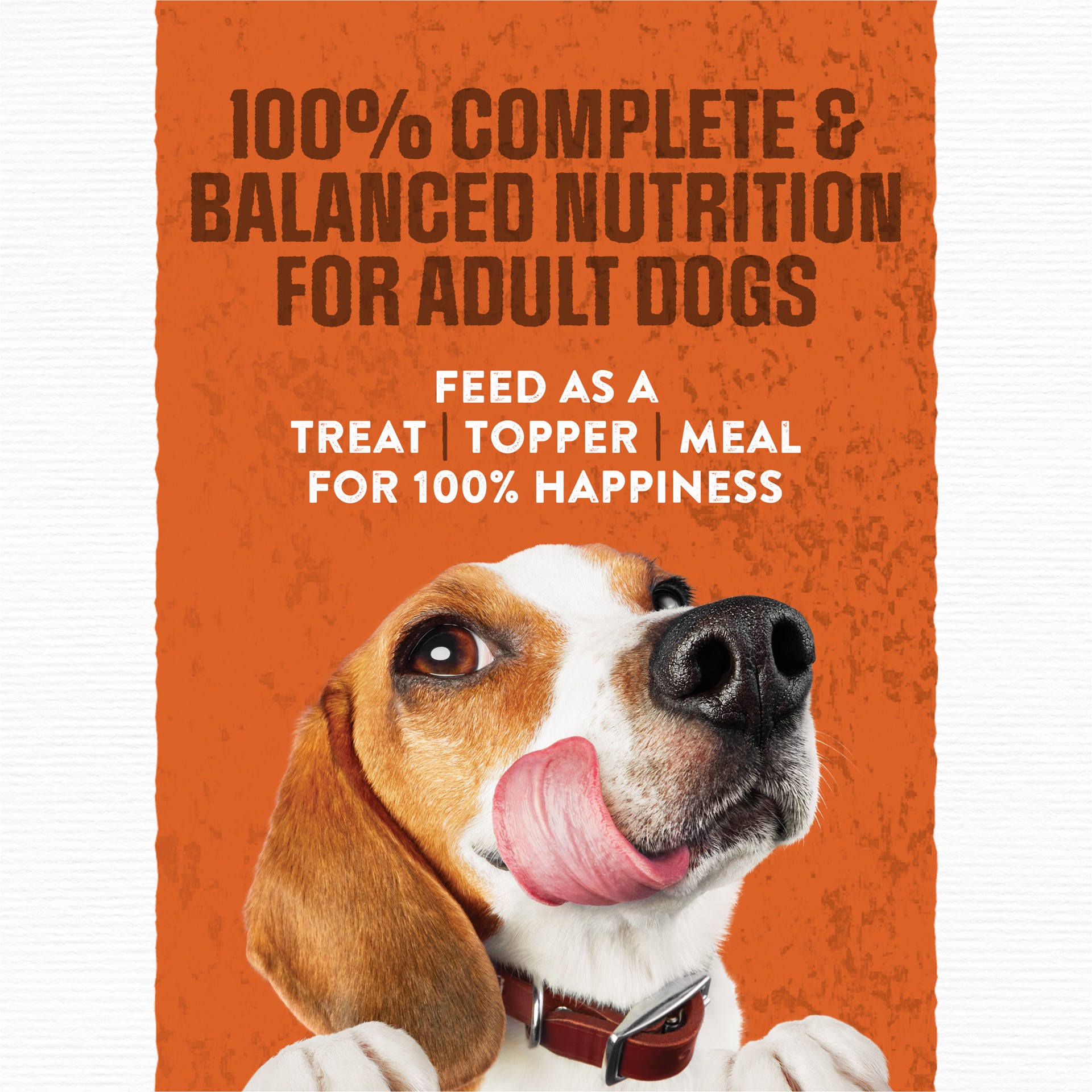 slide 7 of 9, Moist & Meaty Purina Moist and Meaty Burger With Cheddar Cheese Flavor Dry Soft Dog Food Pouches, 36 oz