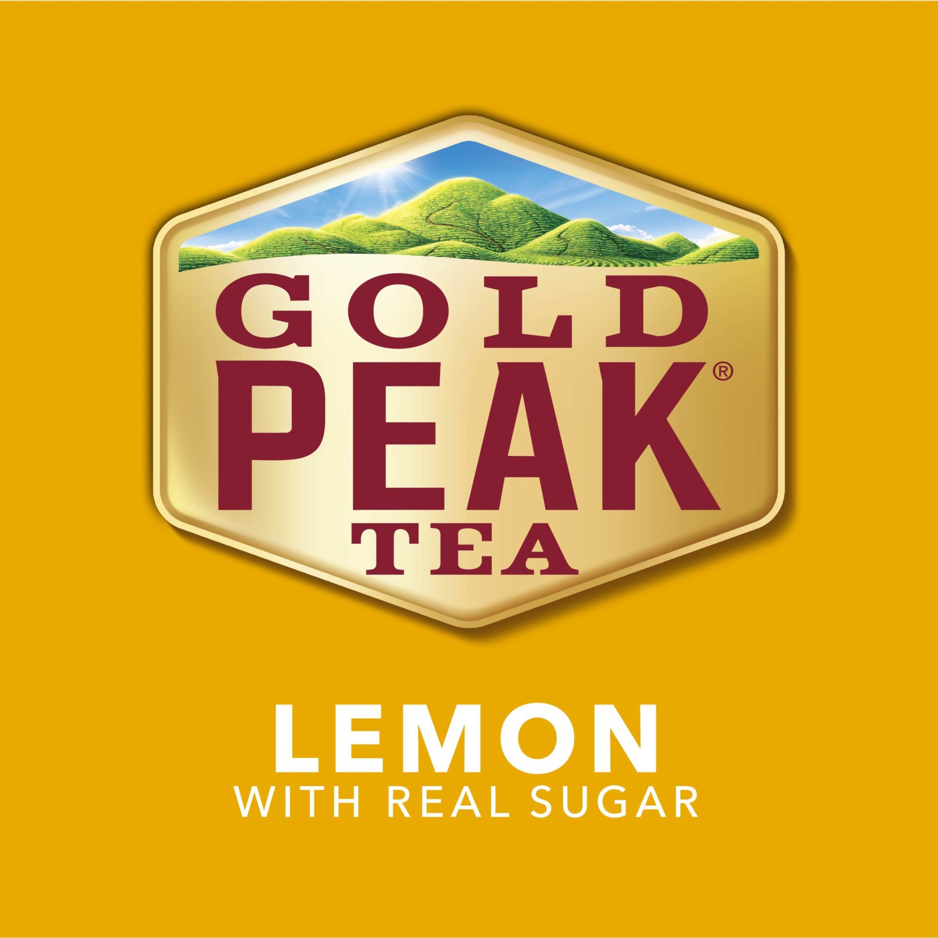 slide 11 of 14, Gold Peak Lemon Sweetened Tea Bottle- 18.50 fl oz, 18.50 fl oz