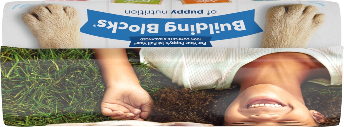 slide 6 of 10, Puppy Chow Purina Puppy Chow High Protein Dry Puppy Food, Complete With Real Chicken, 4 lb