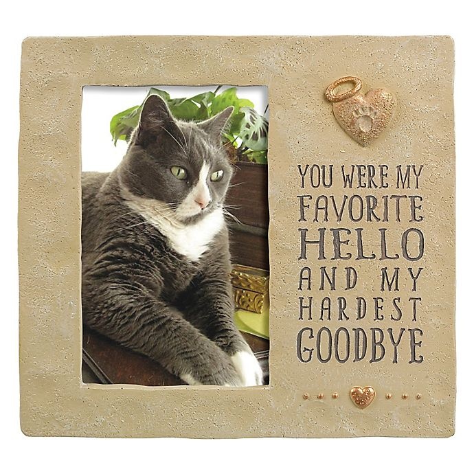 slide 1 of 1, Grasslands Road Pet Memorial Cement Picture Frame, 4 in x 6 in