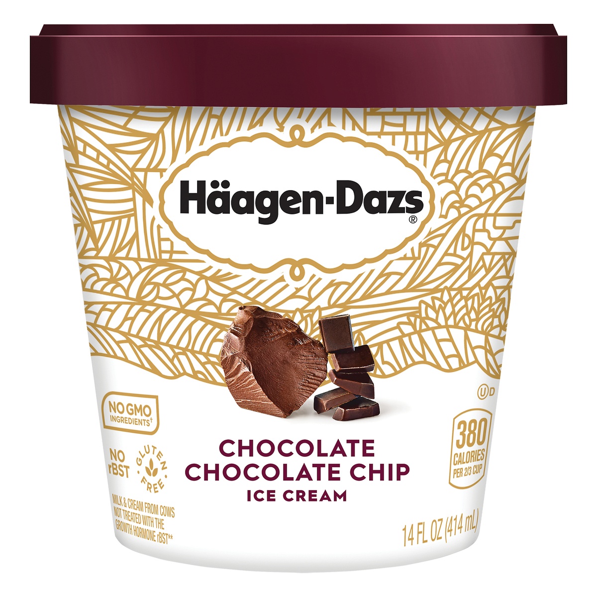 slide 1 of 1, Haagen Dazs Chocolate Chocolate Chip Ice Cream, 14 fl oz