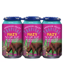 Anderson Valley Tropical Hazy Sour