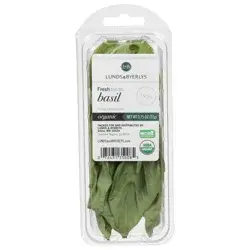 Lunds & Byerlys Fresh Organic Basil