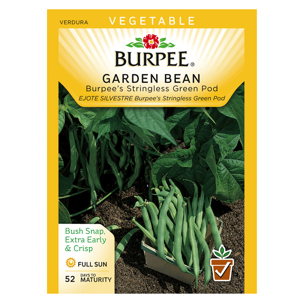 slide 1 of 1, Burpee Basil Sweet Herb Od Seeds, 1 ct