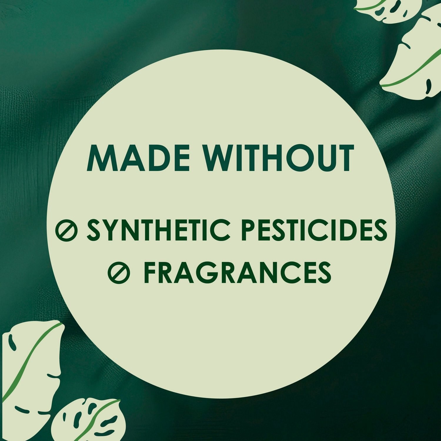 slide 12 of 12, L. Ultra Thin Non-Wing Liners, 100 ct