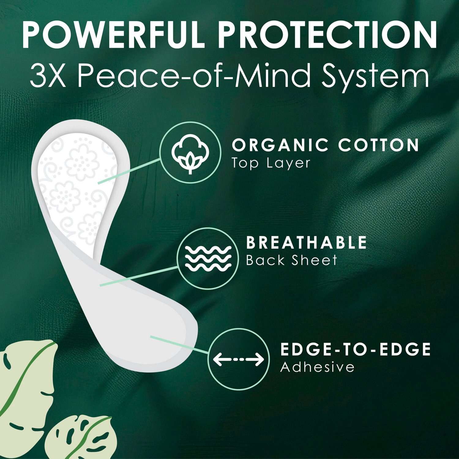 slide 3 of 12, L. Ultra Thin Non-Wing Liners, 100 ct