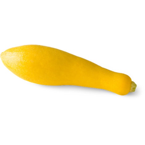 slide 1 of 1, Squash Yellow, 1 ct