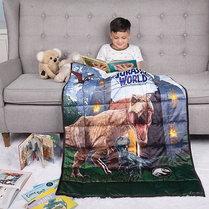 slide 5 of 6, Jurassic World Reversible Weighted Blanket - Grey/Black, 36 in x 48 in