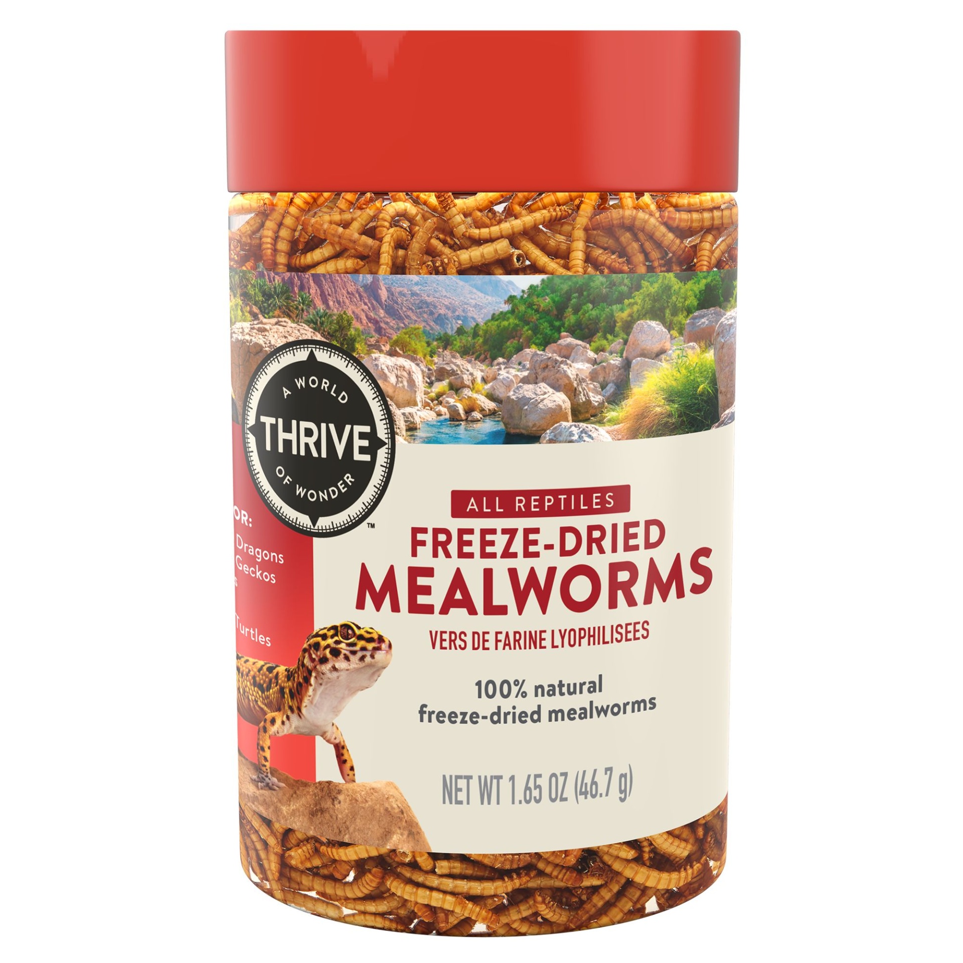 frozen mealworms