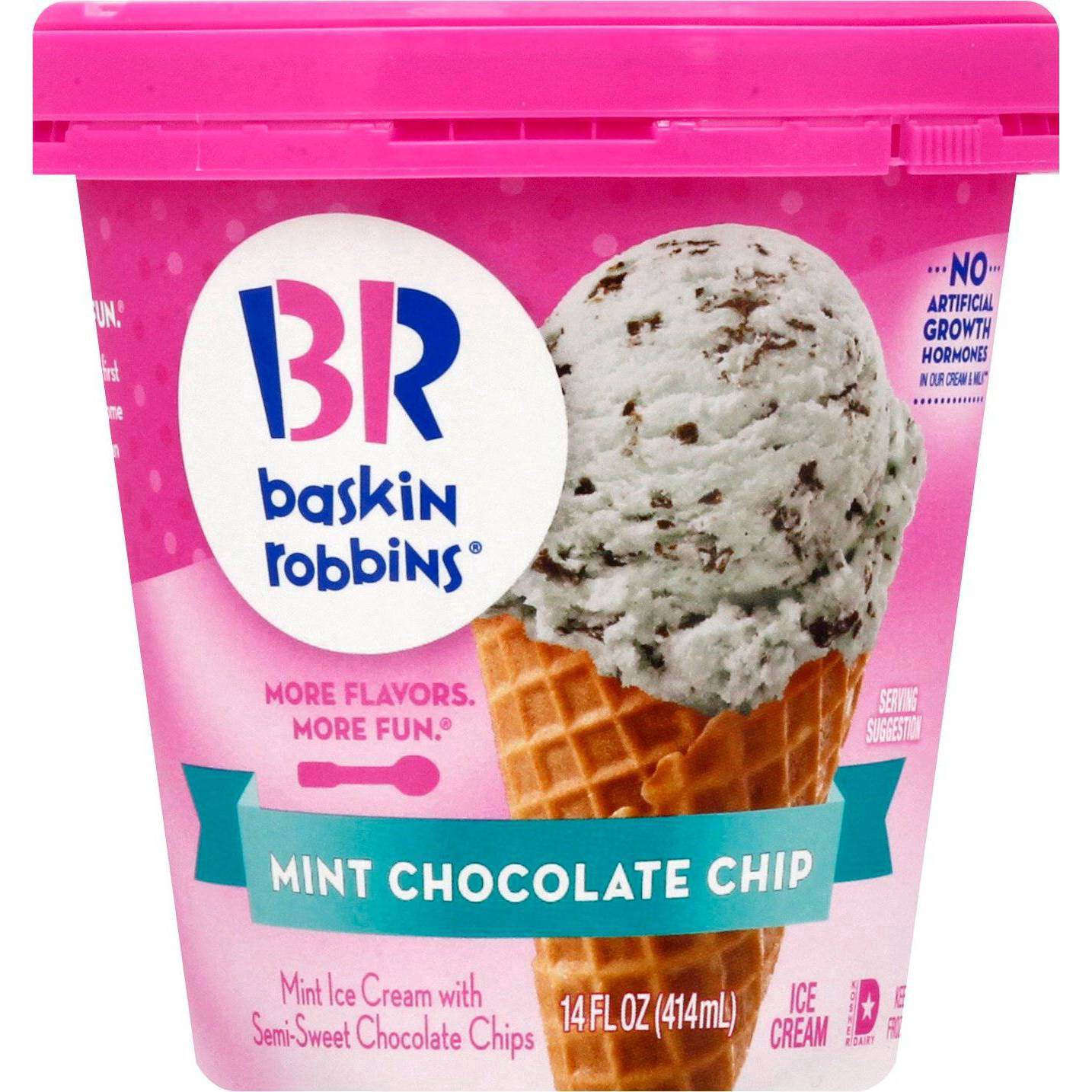 slide 3 of 11, Baskin-Robbins Mint Chocolate Chip Ice Cream 14 fl oz, 14 fl oz