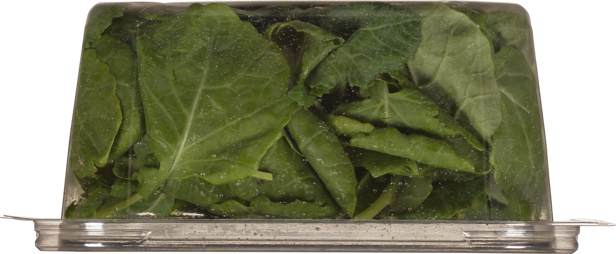 slide 6 of 11, Earthbound Farm Organic Deep Green Blends Kale, 5 oz