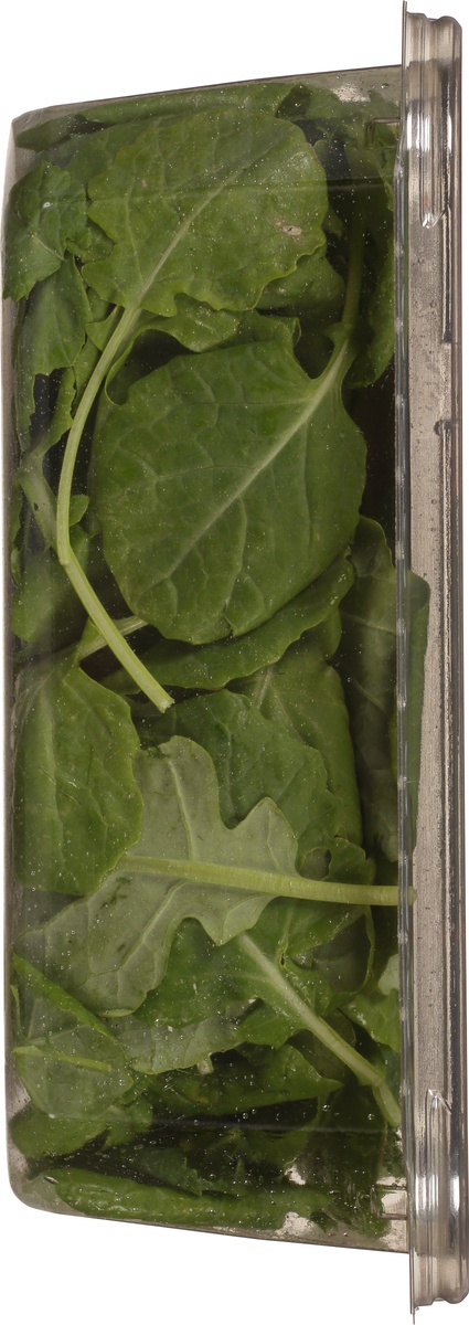 slide 7 of 11, Earthbound Farm Organic Deep Green Blends Kale, 5 oz