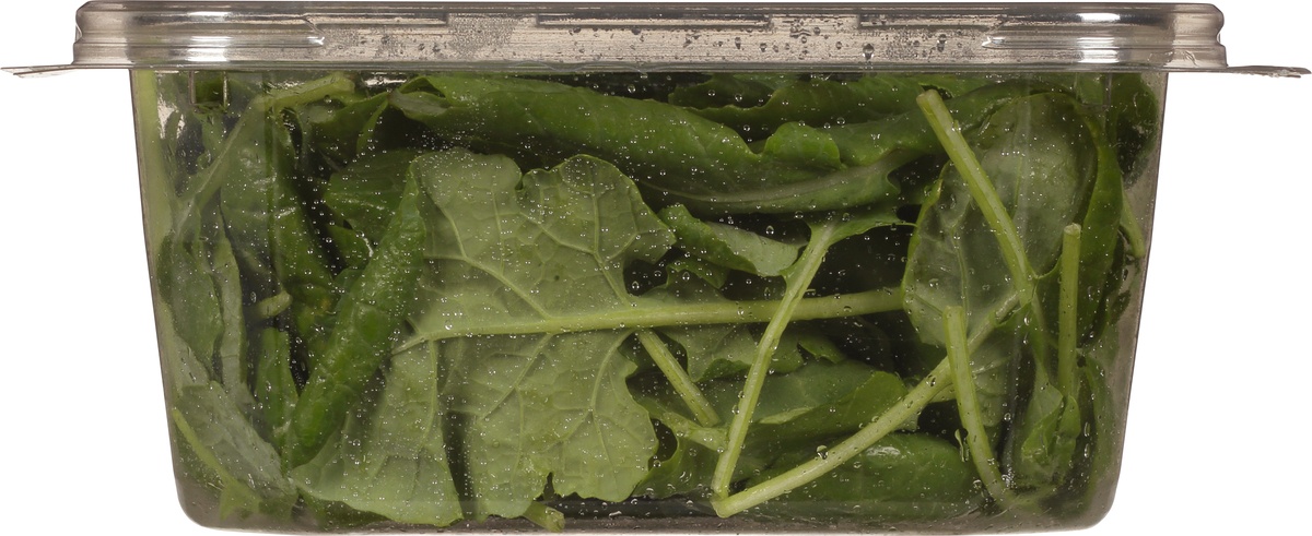 slide 8 of 11, Earthbound Farm Organic Deep Green Blends Kale, 5 oz