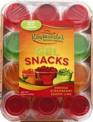 Raymundo's Assorted Gelatin 12Pk