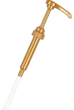 slide 1 of 1, Torani Pump, 1 ct