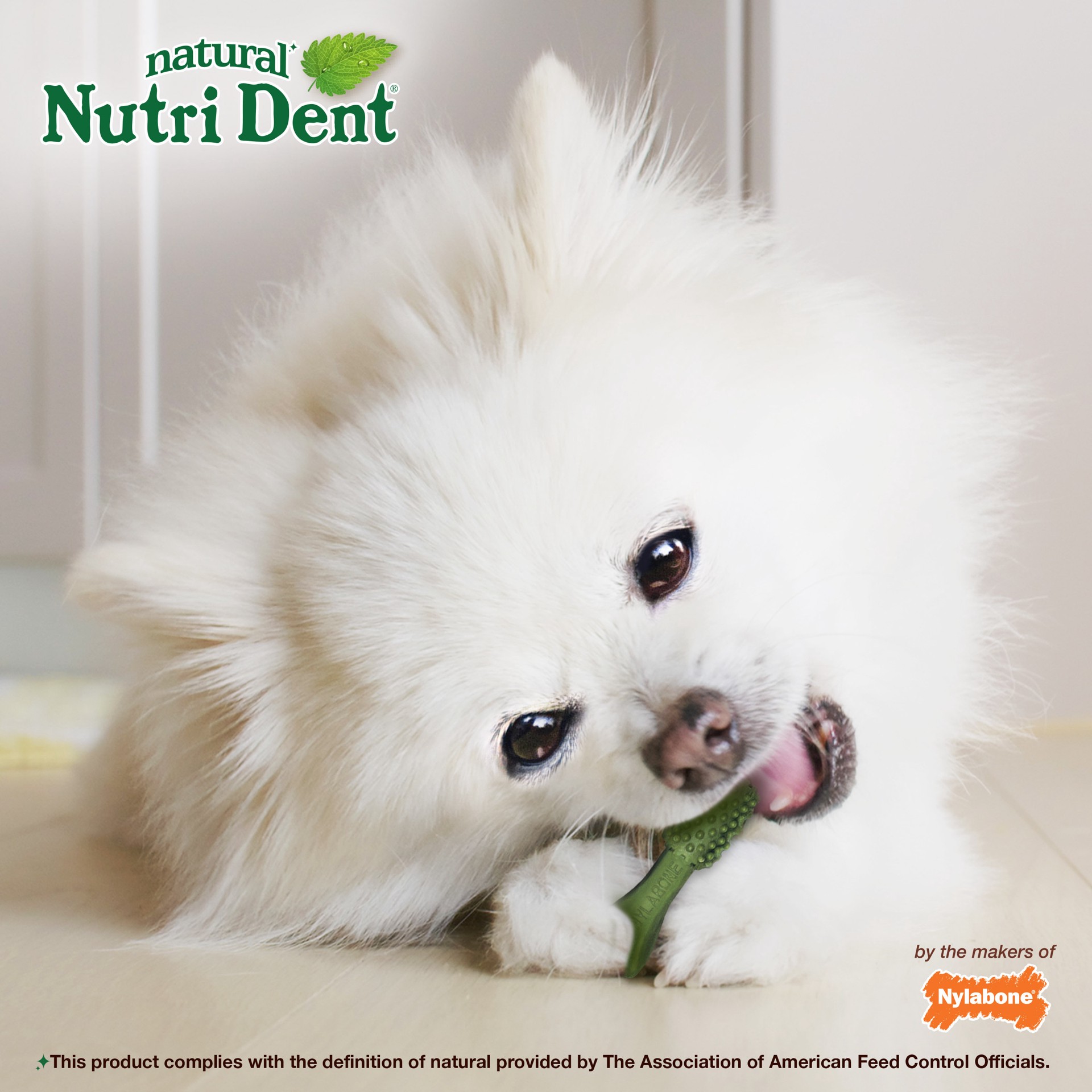 slide 6 of 10, Nylabone Nutri Dent Fresh Breath Flavored Dental Chews Mini - 5 lbs. to 10 lbs.(32 Count), 5.6 oz